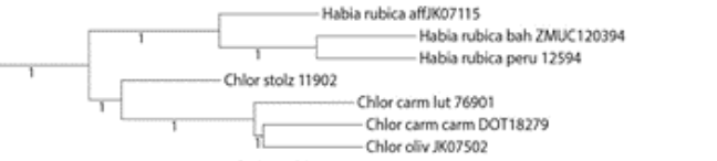 Diagram
Description automatically generated with low confidence