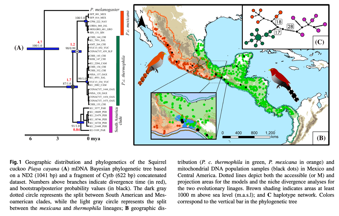 A map of the mexican peninsula
Description automatically generated with medium confidence