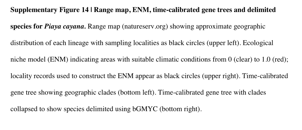 A white text with black text
Description automatically generated