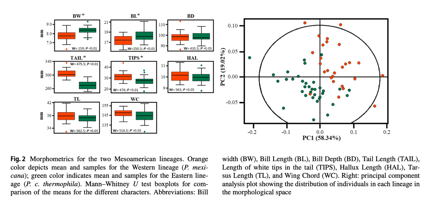A diagram of different colored circles and a circle with a circle with a circle with a circle with a circle with a circle with a circle with a circle with a circle with a circle with a circle
Description automatically generated