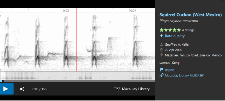 A screenshot of a computer
Description automatically generated