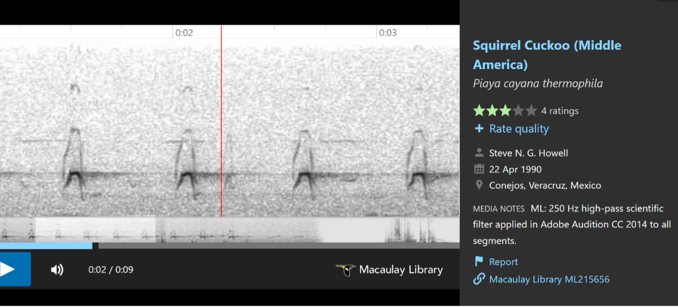 A screenshot of a computer
Description automatically generated