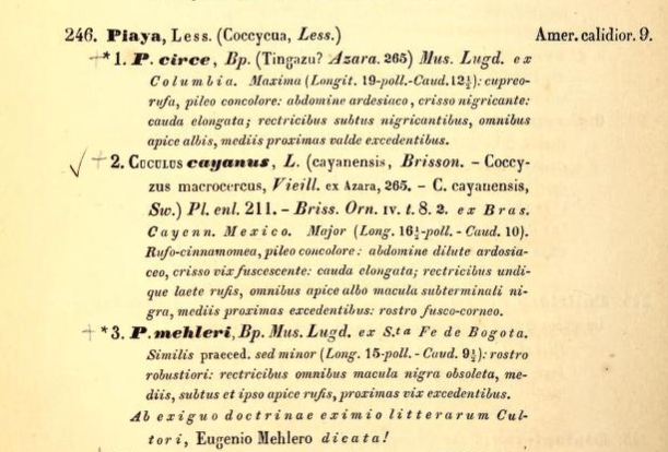 A close-up of a paper
Description automatically generated