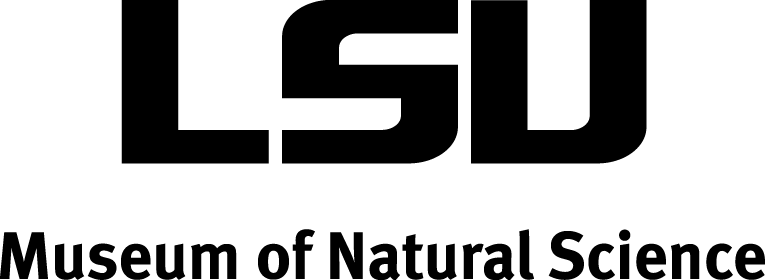 :LSUMNS logo:image001.png