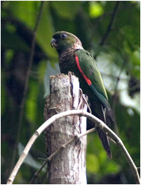 xÕË&^Ë&^Ë&^Ë&^Ë&^Ë&^Ë&^Ë&^Ë&^Ë&^Ë&^Ë&^ ( (¿N