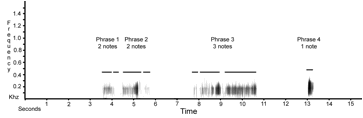 Sonogram-PUU-1