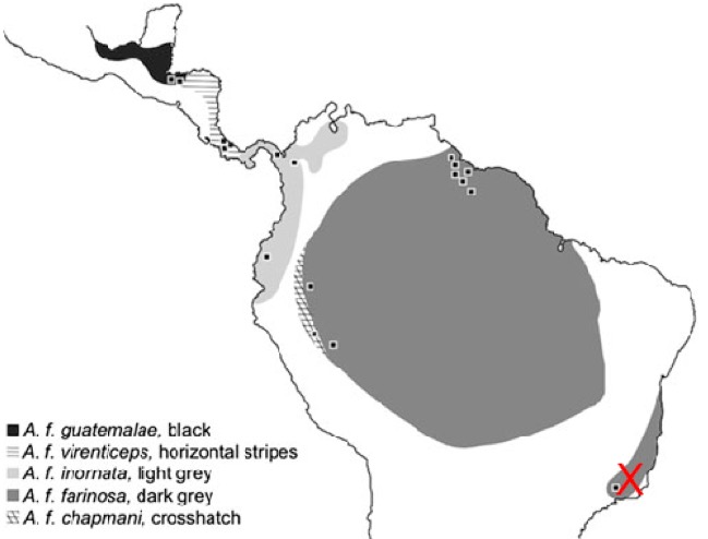 A picture containing diagram
Description automatically generated