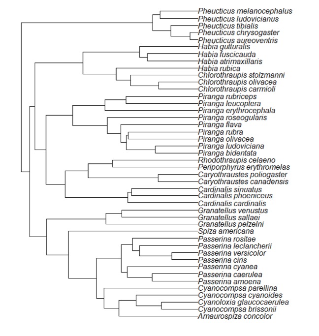 Diagram
Description automatically generated