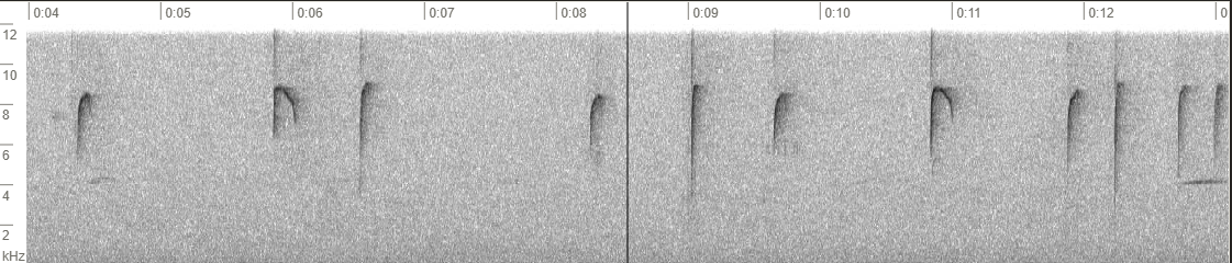 Afbeelding met zwart-wit, Zwart-witfotografie, schets, zwart
Automatisch gegenereerde beschrijving