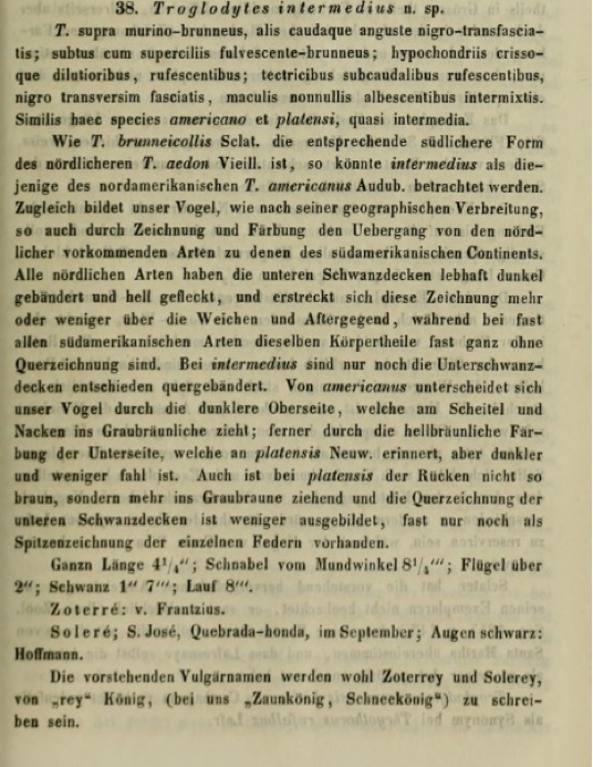 A close-up of a book
Description automatically generated
