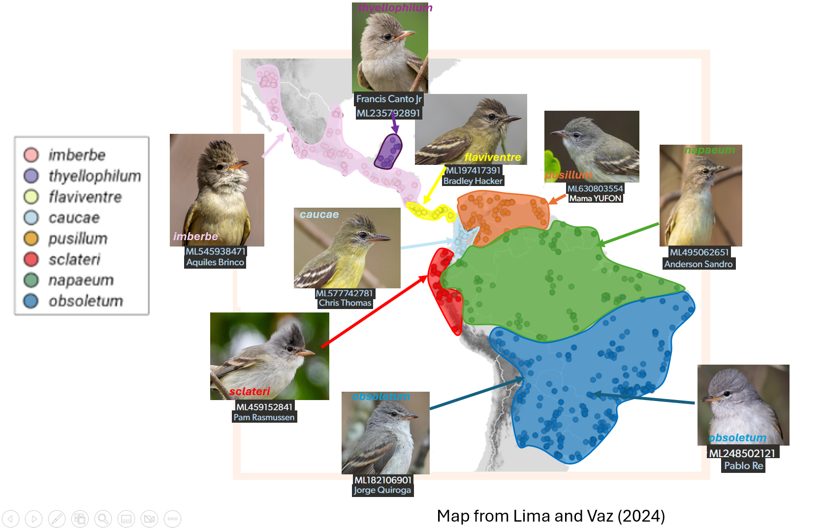A map of birds with different colors
AI-generated content may be incorrect.