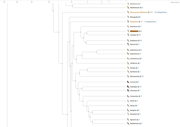 A screenshot of a computer
AI-generated content may be incorrect.