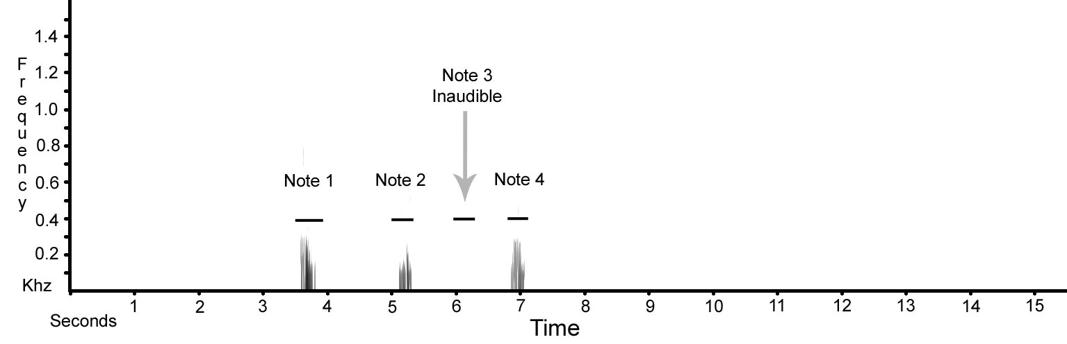 Sonogram-PUK-2