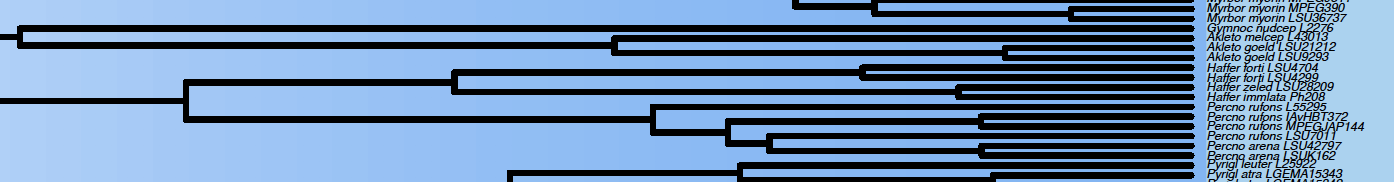 A picture containing diagram
Description automatically generated
