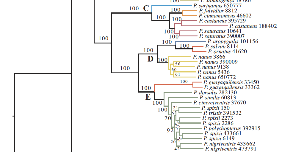 Diagram, schematic
Description automatically generated