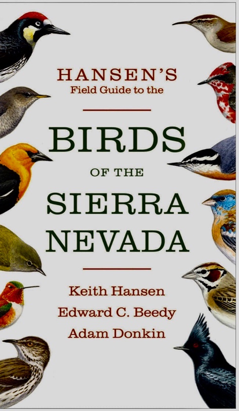 A collage of birds
Description automatically generated with low confidence