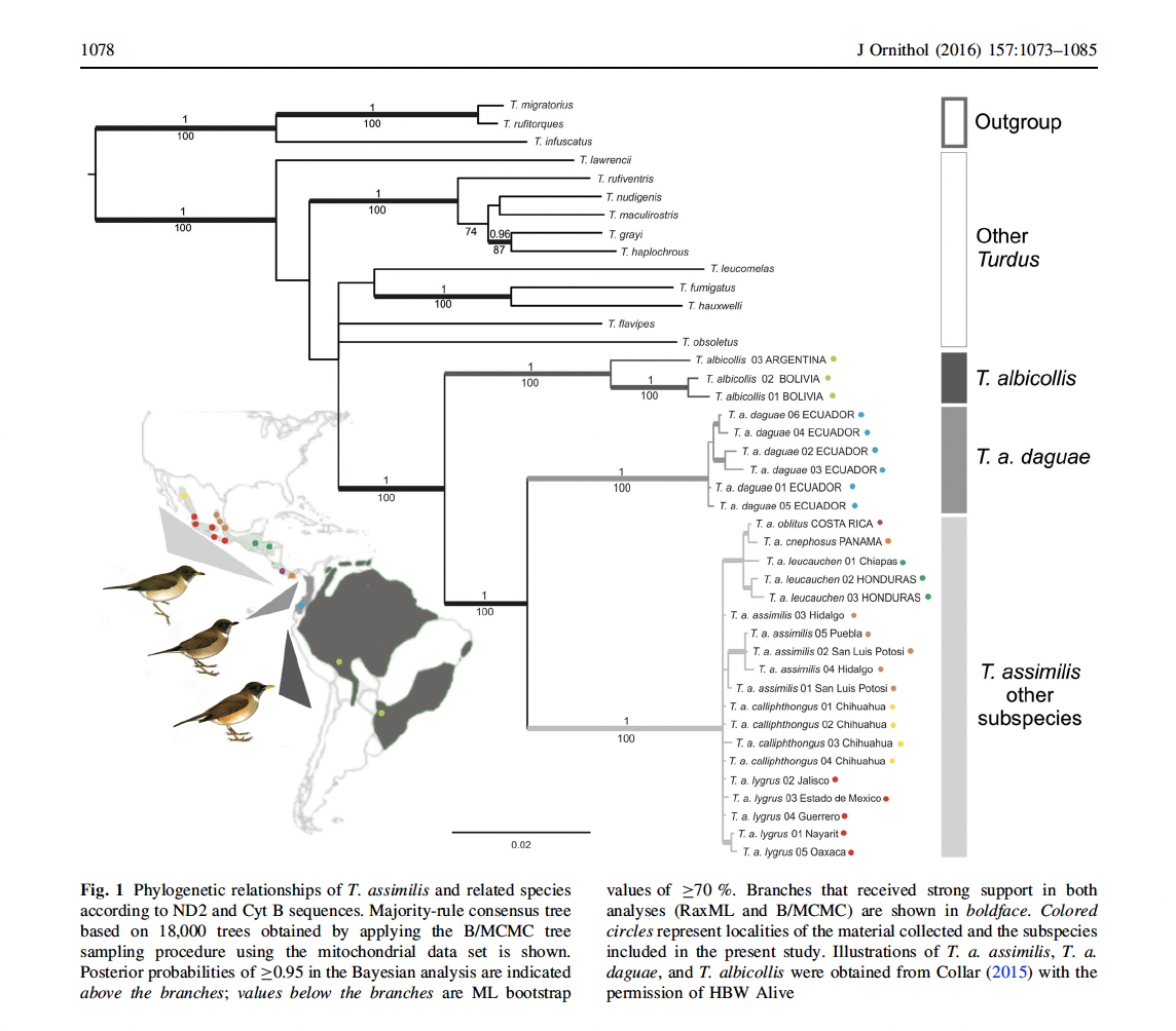 Diagram
Description automatically generated