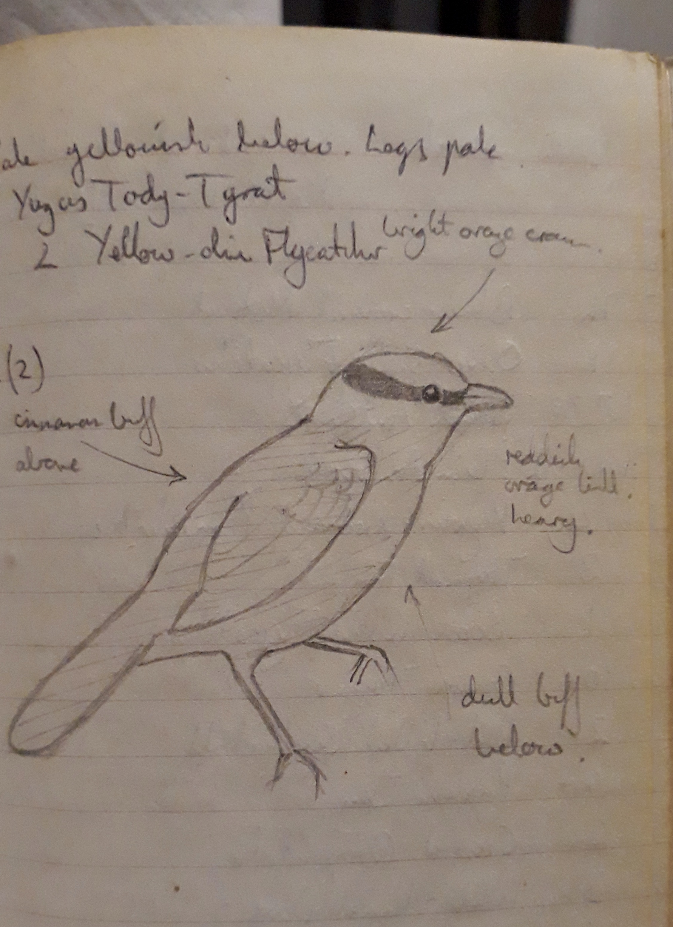 A drawing on a piece of paper
Description automatically generated with medium confidence