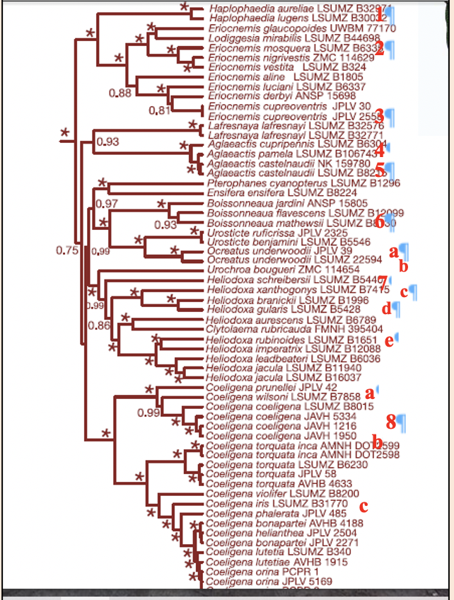 Diagram, schematic
Description automatically generated