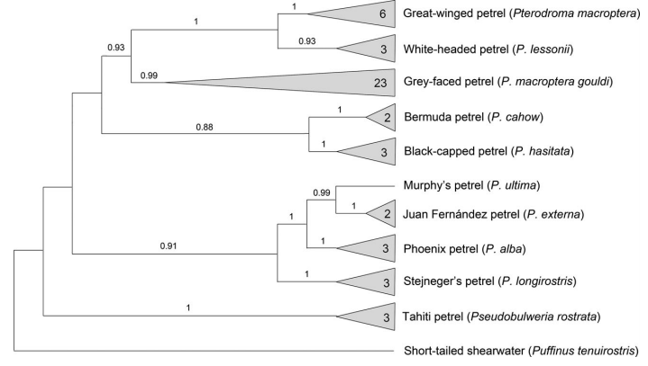 Diagram
Description automatically generated