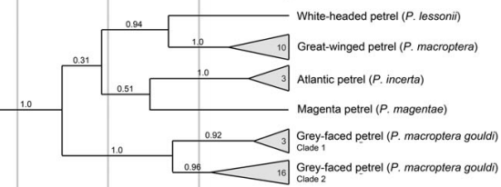 Diagram
Description automatically generated