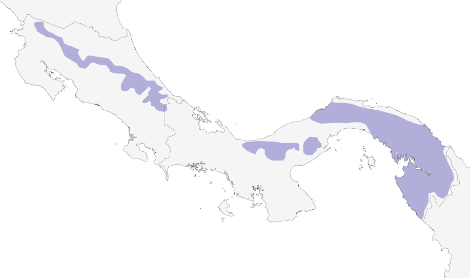 A map of the world
Description automatically generated with medium confidence