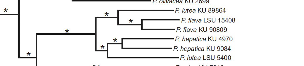 A picture containing diagram
Description automatically generated