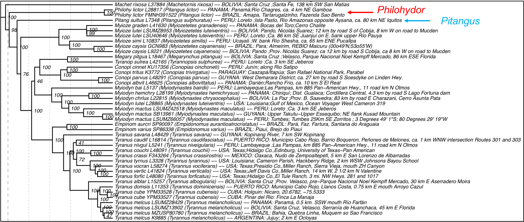 A picture containing shape
Description automatically generated