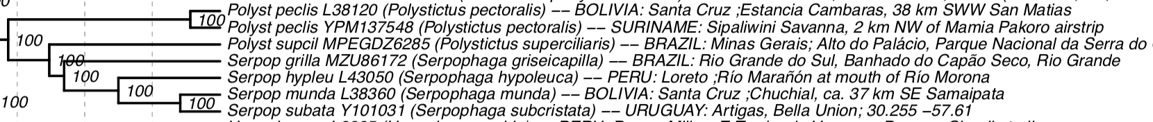Pajarografo Sólido:Users:javierareta:Downloads:Harvey et al Serpophaga.png