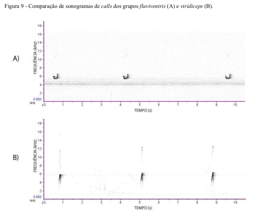 Pajarografo Sólido:Users:javierareta:Desktop:Screen Shot 2023-02-07 at 9.31.30 AM.png