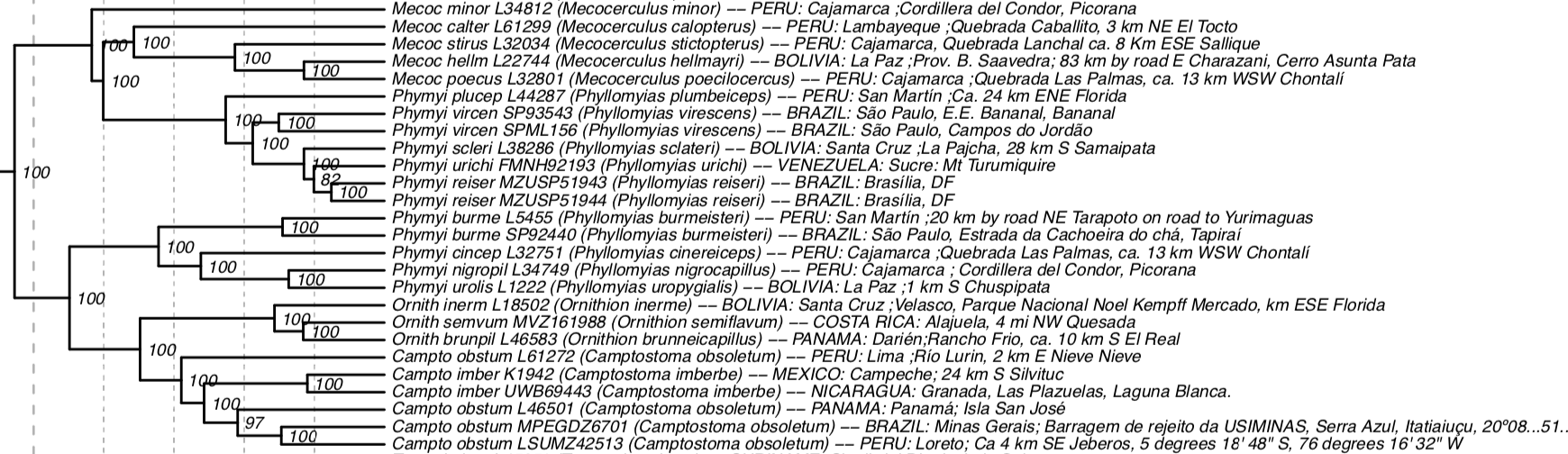 Pajarografo Sólido:Users:javierareta:Desktop:Harvey et al 2020 Phyllomyias burmeisteri.png