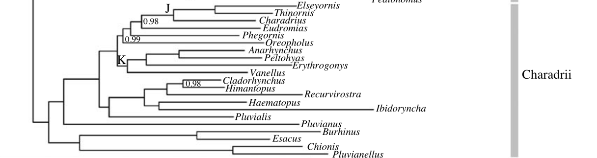 A diagram of a tree
Description automatically generated