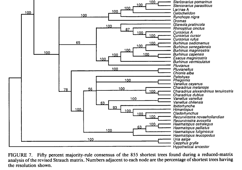 A graph of a tree
Description automatically generated