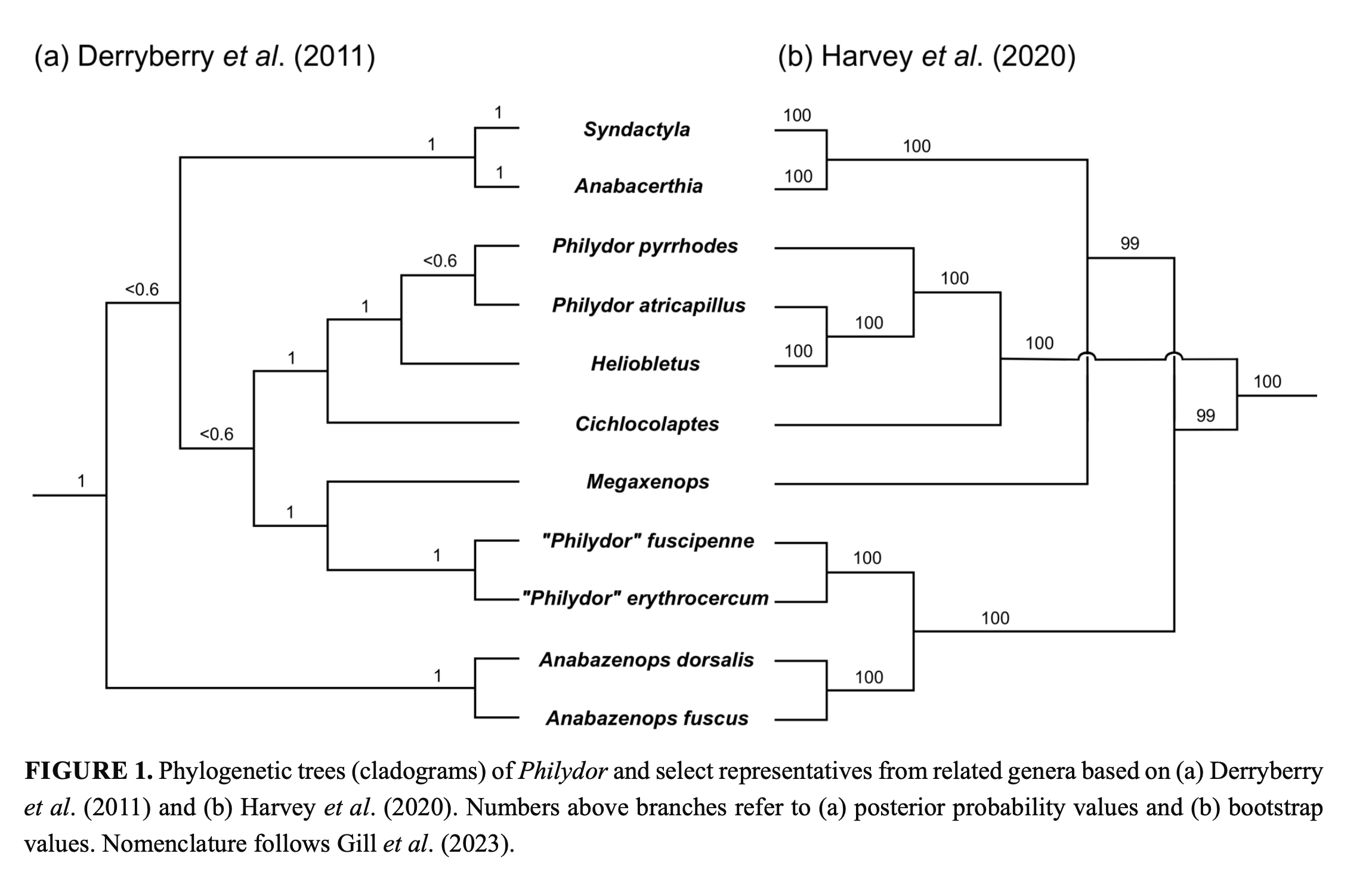 A diagram of a tree
Description automatically generated