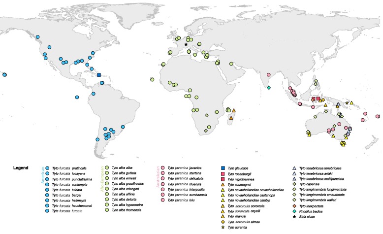 A map of the world with different colored dots
Description automatically generated