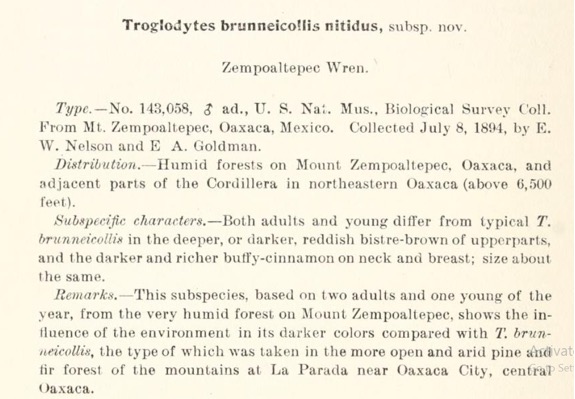 A close-up of a document

Description automatically generated