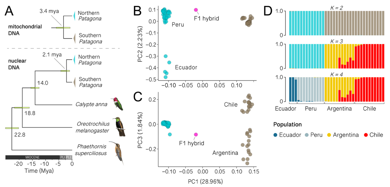 A graph of different species

AI-generated content may be incorrect.