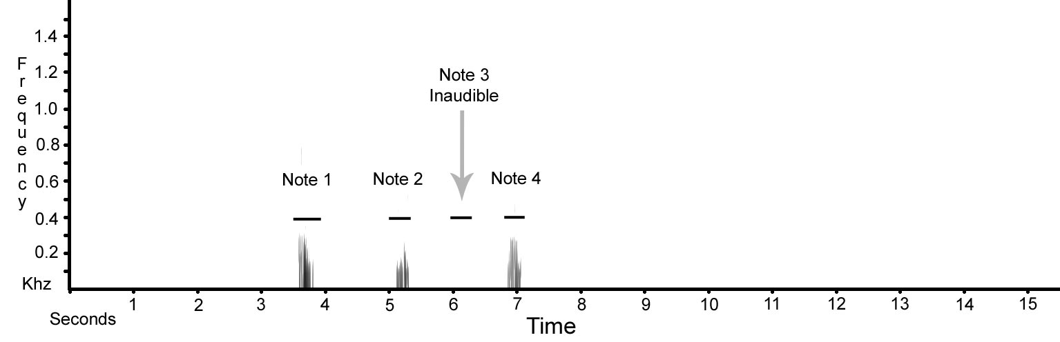 Sonogram-PUK-2