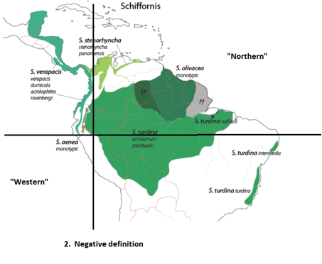Schiffornis - northern versus southern negatively defined