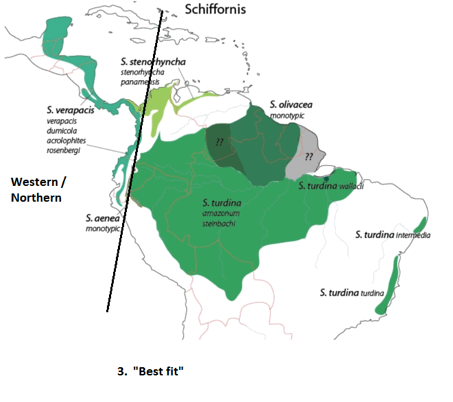 Schiffornis - northern versus southern best fit