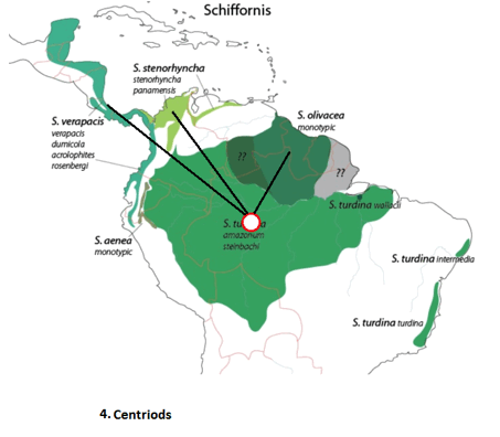 Schiffornis - northern versus southern Centroids