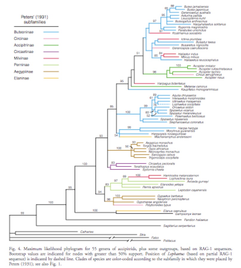 GriffithsTree2.pdf