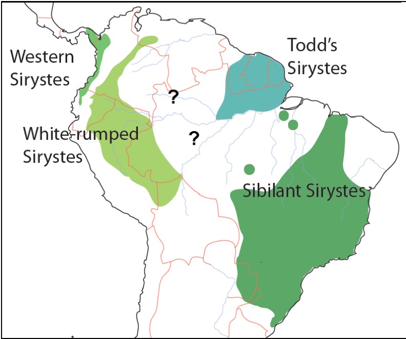 Final Sirystes map