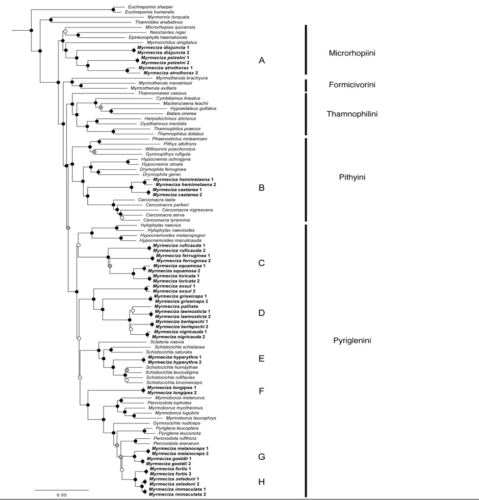 Figure1.tif