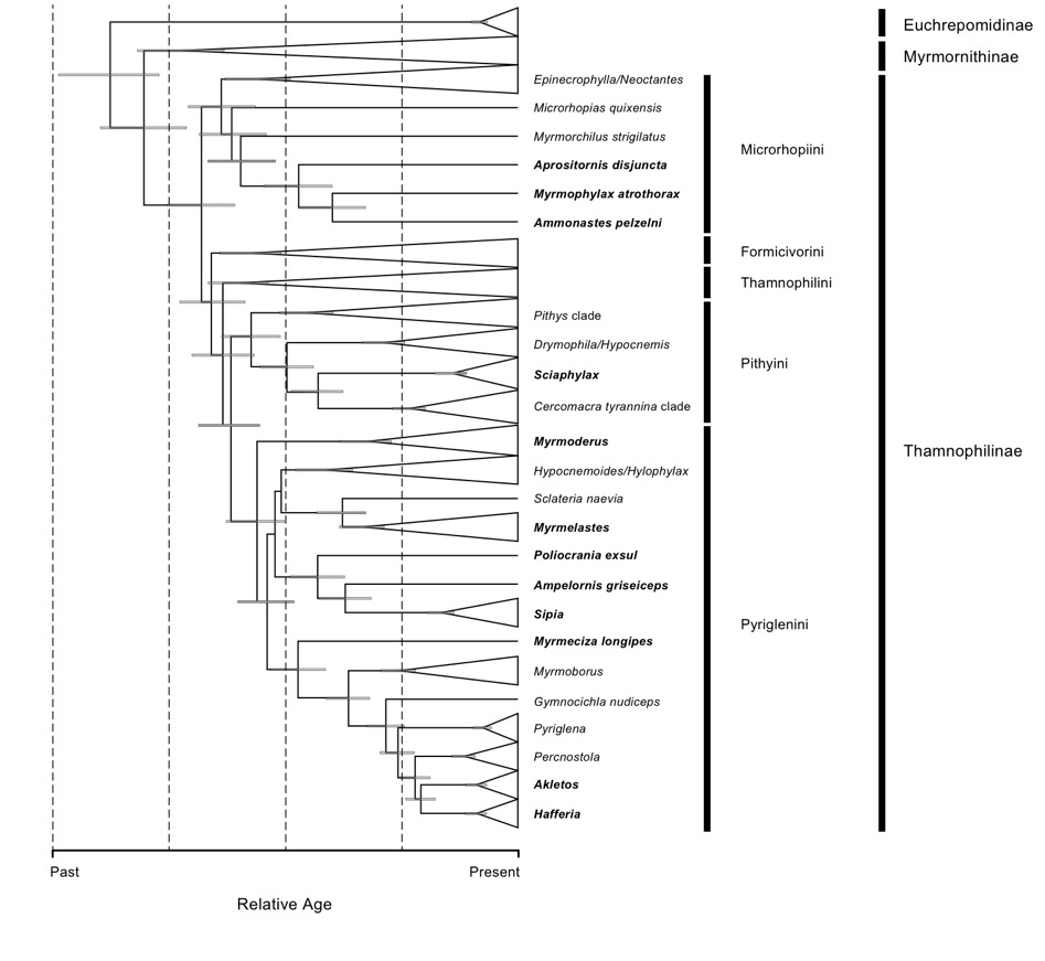 Fig3.pdf