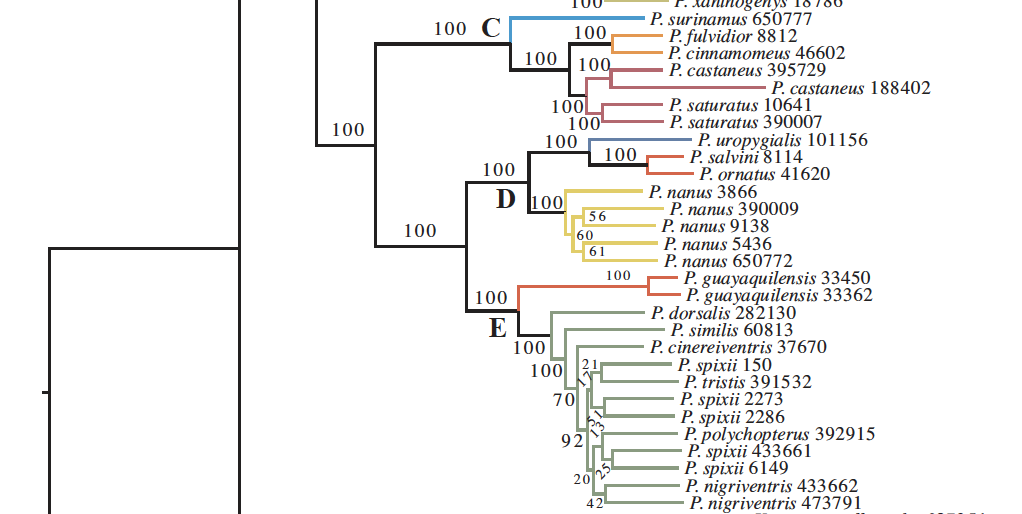 Diagram, schematic

Description automatically generated