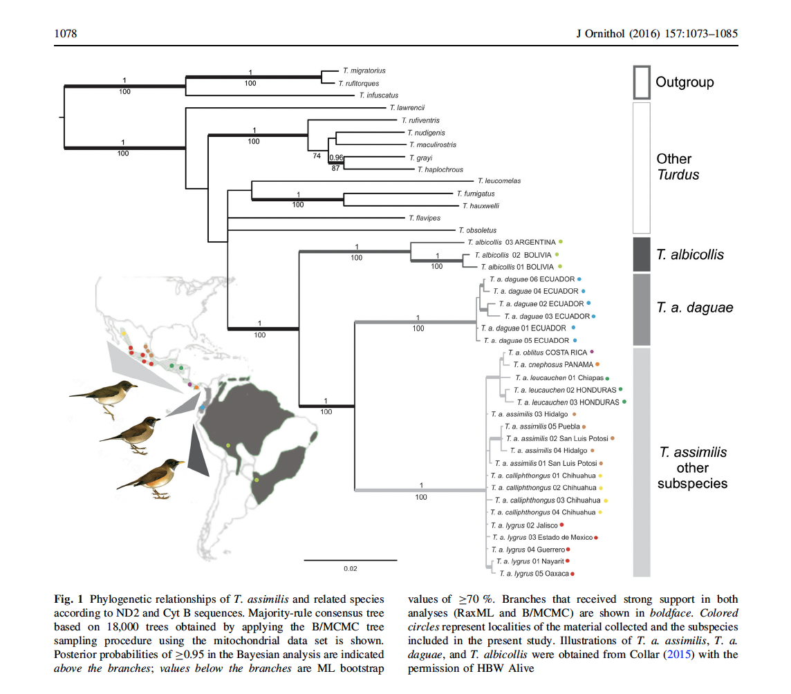 Diagram

Description automatically generated