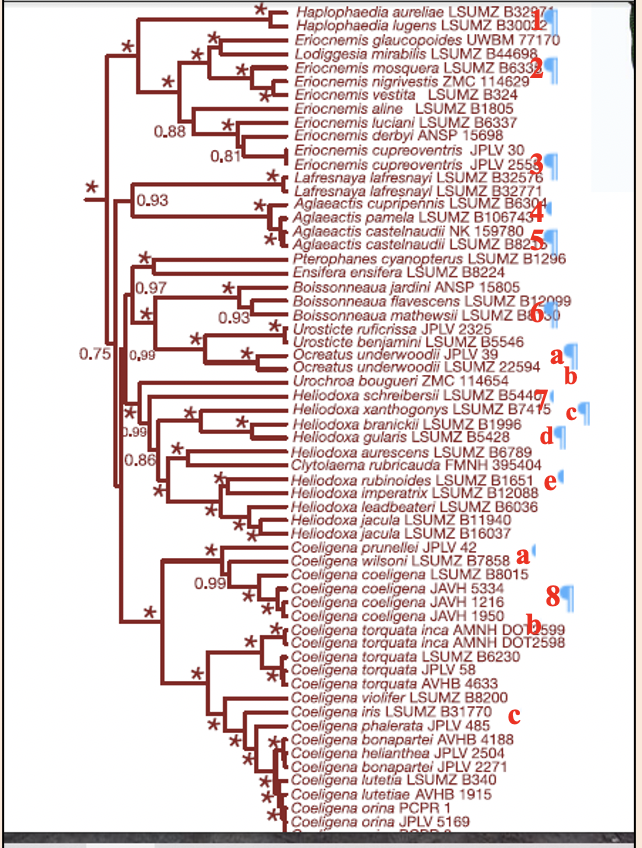 Diagram, schematic

Description automatically generated