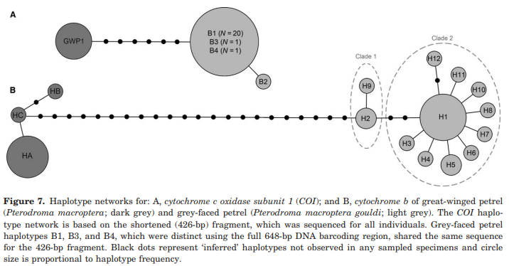 A picture containing diagram

Description automatically generated