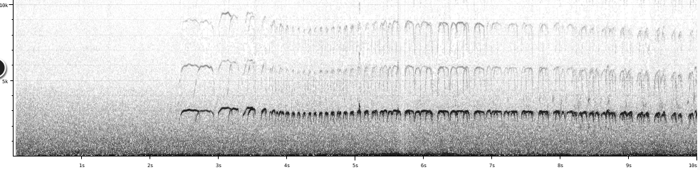 Background pattern

Description automatically generated with low confidence